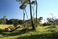 Elephant Pepper Camp