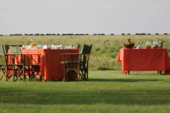 Elephant Pepper Camp