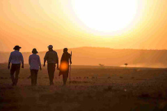 Elephant Pepper Camp