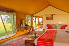 Elephant Pepper Camp
