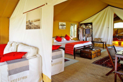 Elephant Pepper Camp