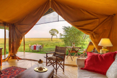 Elephant Pepper Camp