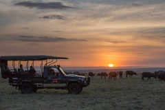Elephant Pepper Camp