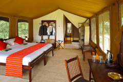 Elephant Pepper Camp