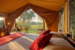 Elephant Pepper Camp