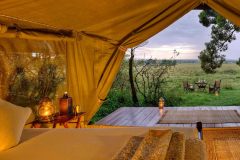 Elephant Pepper Camp