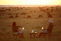 Elephant Pepper Camp