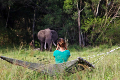 Elephant Pepper Camp