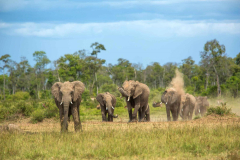Mara Engai Wilderness Lodge