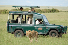 Mara Explorer Camp