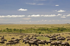 Mara Explorer Camp