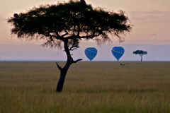 Mara Explorer Camp