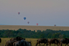 Mara Explorer Camp