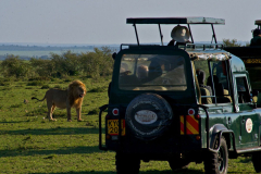 Mara Explorer Camp