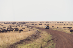 Mara Serena Safari Lodge